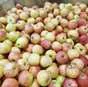 яблоки разных сортов и калибра  в Краснодаре 3