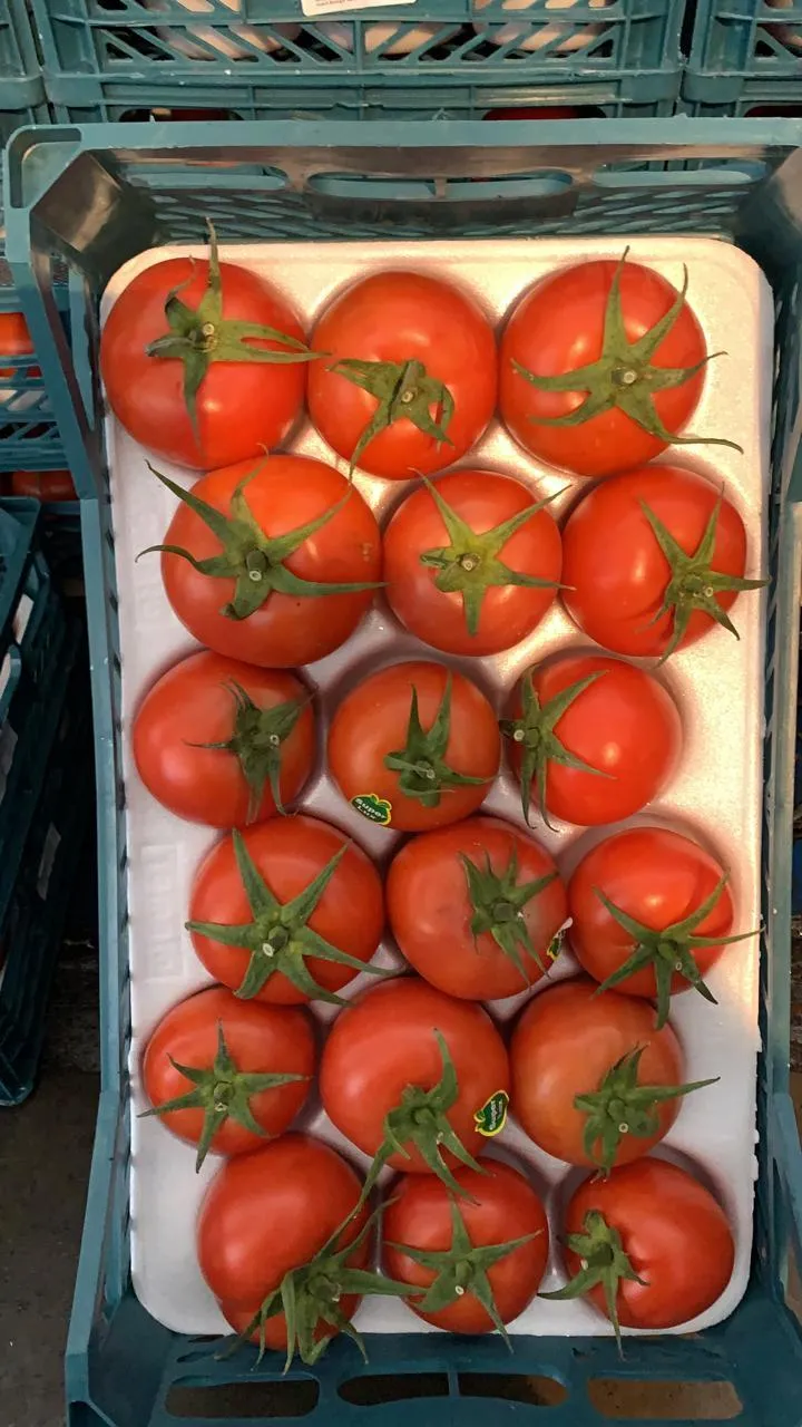 томат ветка в Краснодаре 3