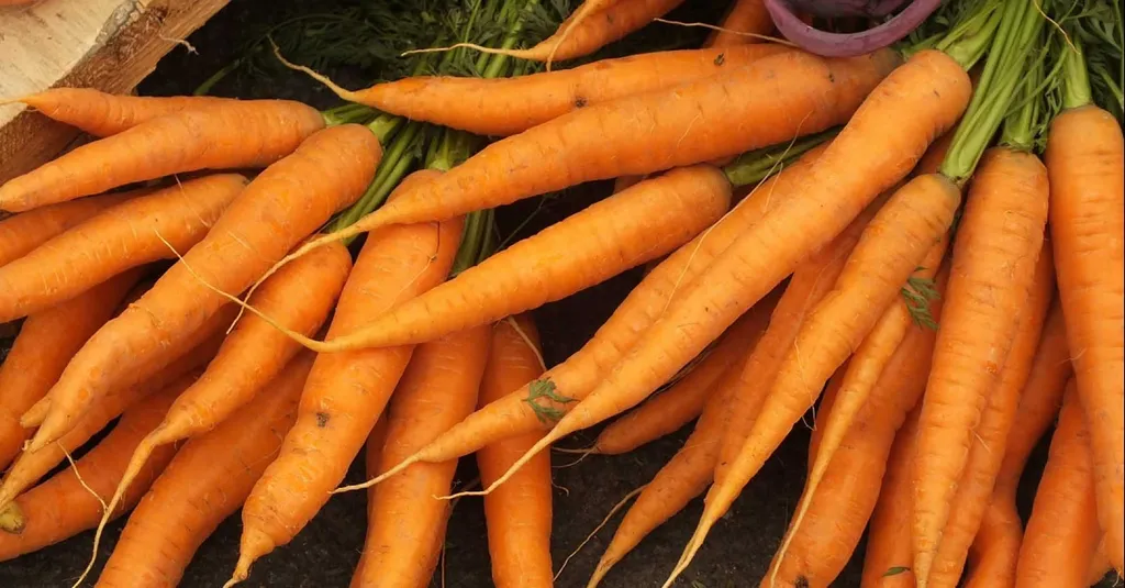 морковь 2021 в Краснодаре