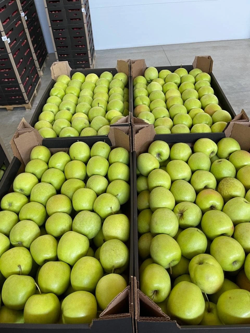 яблоки оптом от производителя  в Краснодаре 5