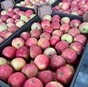 яблоко оптом от производителя  в Краснодаре