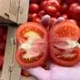 томаты тепличные круглые  в Краснодаре 2