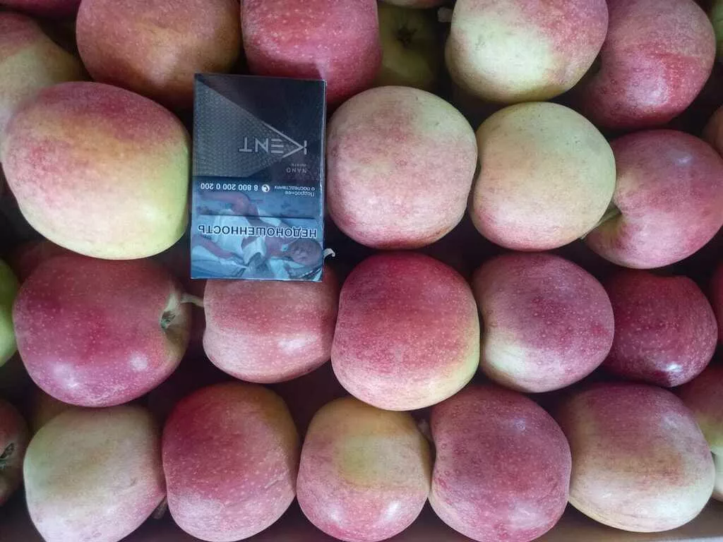 яблоки оптом Гала, 1 сорт 65+ с садов в Краснодаре и Краснодарском крае 3