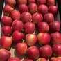 яблоки оптом Гала Девил, 1сорт от КФХ в Краснодаре и Краснодарском крае