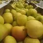 яблоки оптом Гала Маст, 1 сорт 70+ в Краснодаре и Краснодарском крае