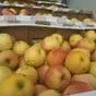 яблоки оптом Гала Маст, 2 сорт 60+ в Краснодаре и Краснодарском крае
