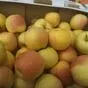 яблоки оптом Гала Маст, 2 сорт 60+ в Краснодаре и Краснодарском крае 4