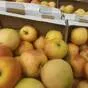 яблоки оптом Гала Маст, 2 сорт 60+ в Краснодаре и Краснодарском крае 3