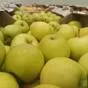 яблоки оптом Гала Маст, 1 сорт 60+ в Краснодаре и Краснодарском крае 2