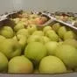яблоки оптом Гала Маст, 1 сорт 60+ в Краснодаре и Краснодарском крае