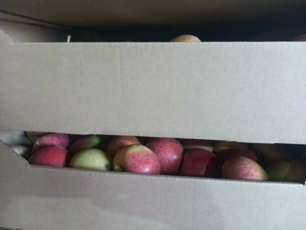 яблоки Гала первого сорта, калибр 60+ в Краснодаре и Краснодарском крае 4