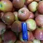 яблоки Гала первого сорта, калибр 60+ в Краснодаре и Краснодарском крае 2