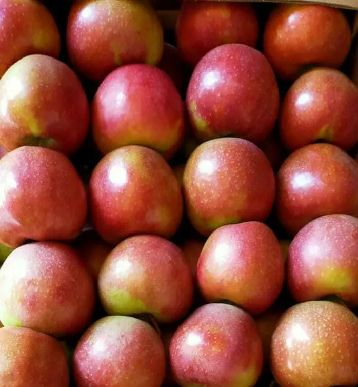 яблоки Джона Принц 1сорт, калибр 75+ опт в Краснодаре и Краснодарском крае