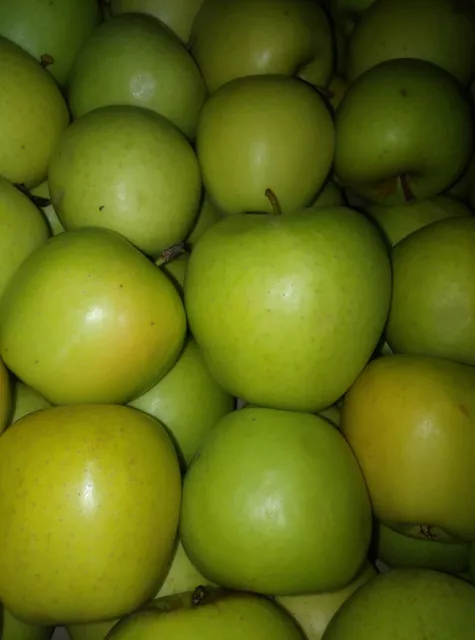 яблоки Гольден первого сорта, калибр 70+ в Краснодаре и Краснодарском крае