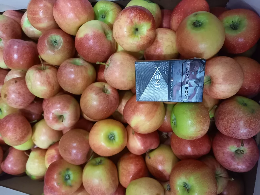 яблоки оптом в Краснодаре 3