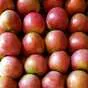 яблоко оптом от производителя в Краснодаре и Краснодарском крае 9