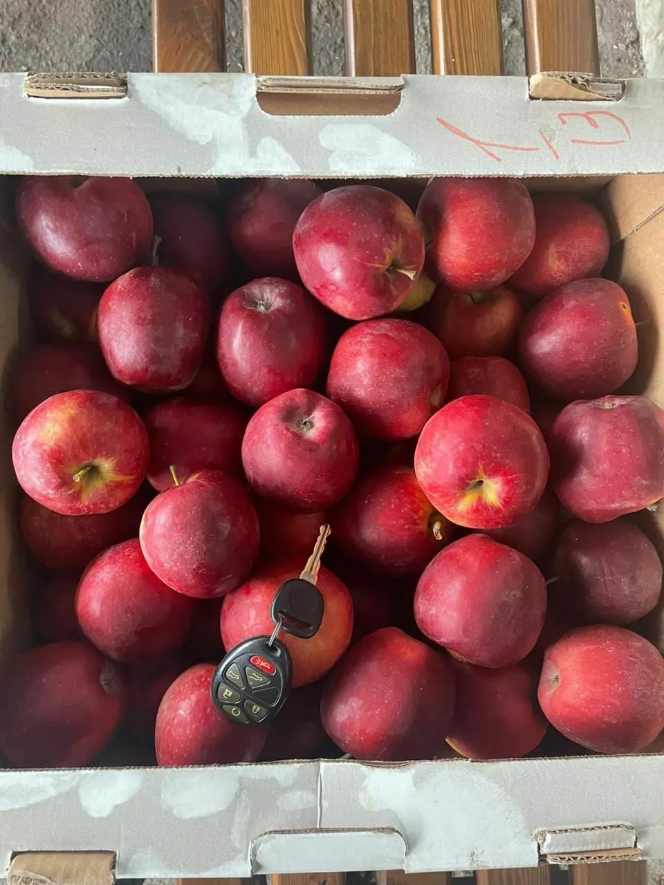 яблоки оптом из сада в Кропоткине