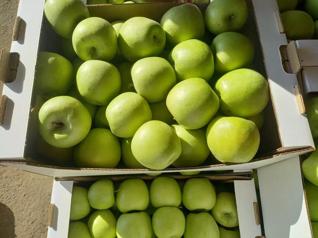 яблоки оптом от производителя в Краснодаре