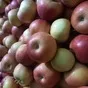 яблоки оптом от производителя в Краснодаре 2