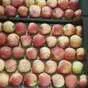 яблоки оптом гала шнига 65-80 1сорт  в Краснодаре и Краснодарском крае 4