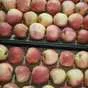 яблоки оптом гала шнига 65-80 1сорт  в Краснодаре и Краснодарском крае 3