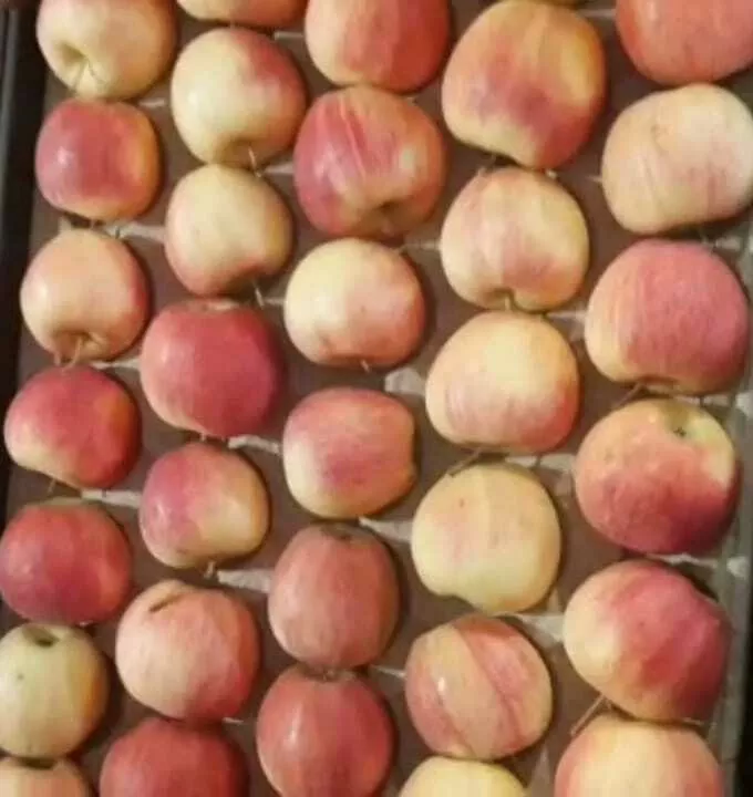 яблоки оптом гала шнига 65-80 1сорт  в Краснодаре и Краснодарском крае