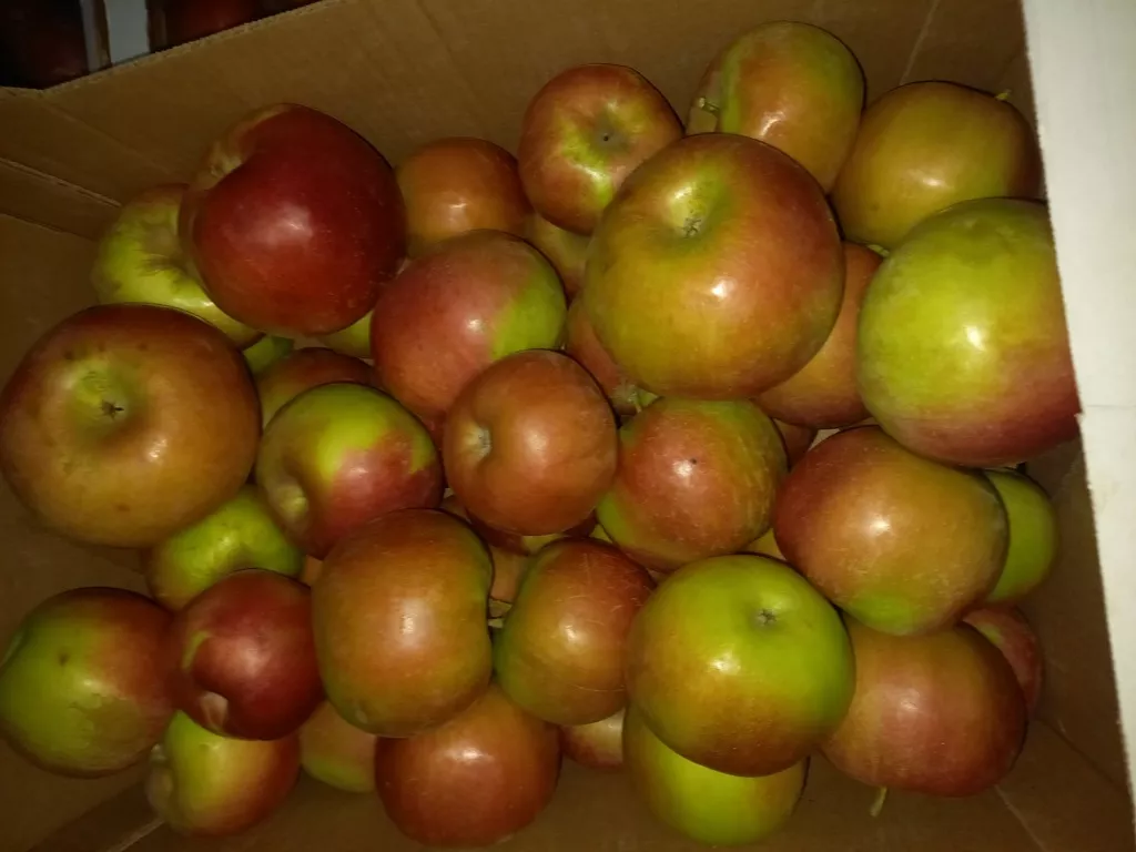 яблоки айдаред 65+ оптом в Краснодаре и Краснодарском крае