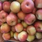 яблоки айдаред 65+ оптом в Краснодаре и Краснодарском крае 5