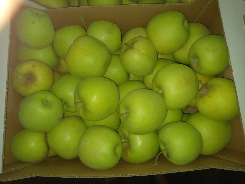яблоки голден оптом от производителя в Краснодаре и Краснодарском крае 2