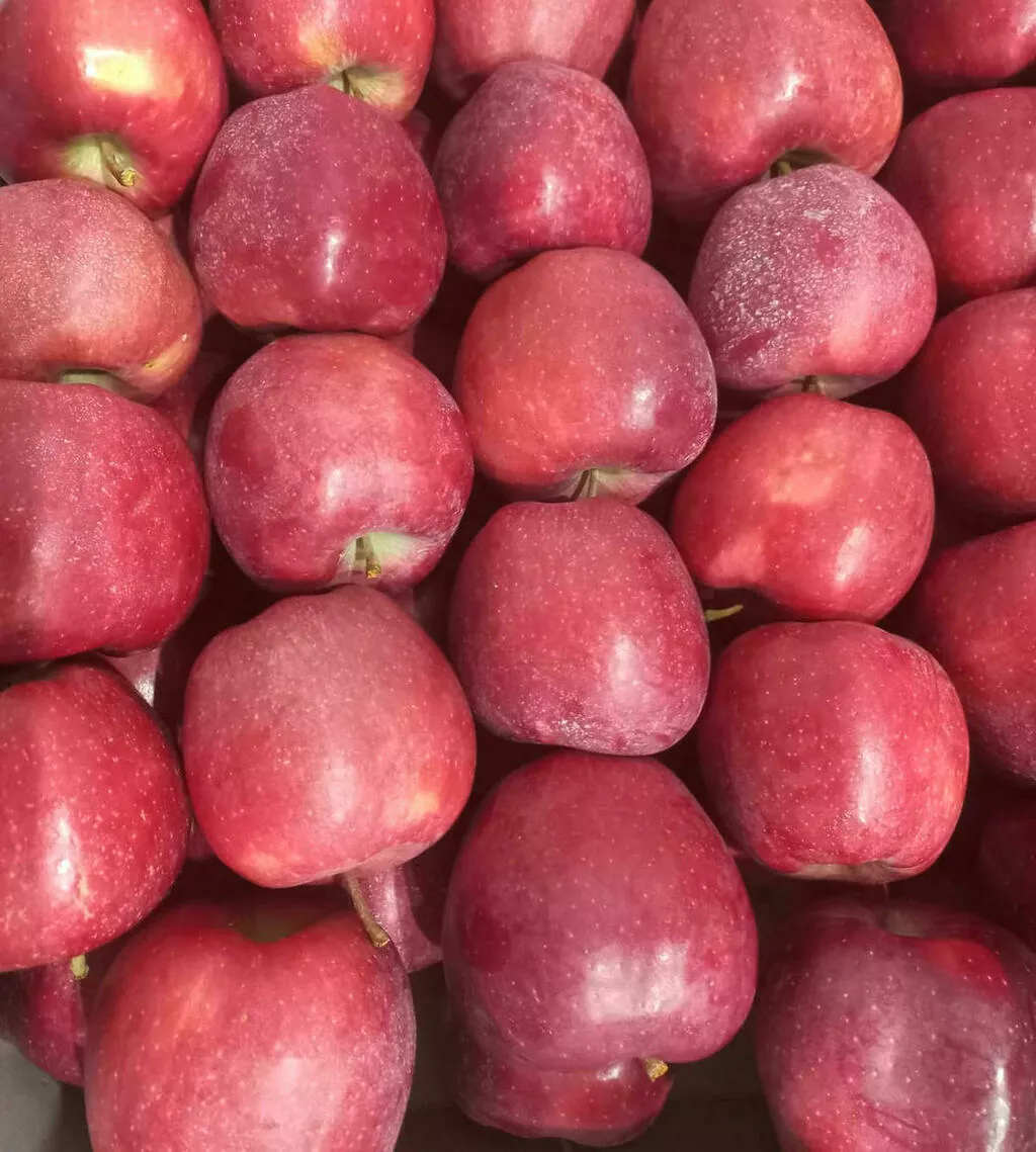 свежие яблоки оптом от производителя в Краснодаре 8