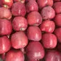 свежие яблоки оптом от производителя в Краснодаре 8
