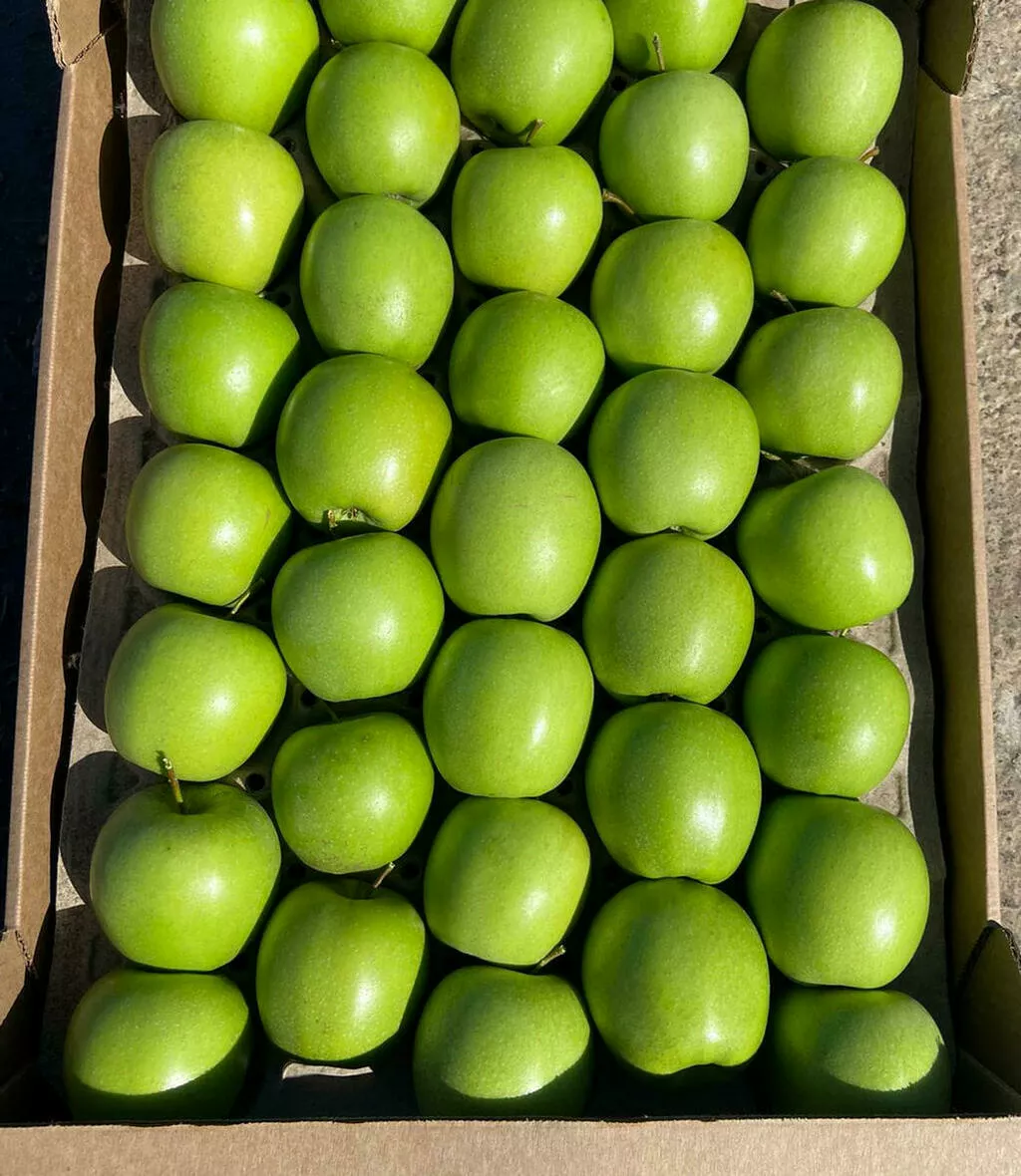 свежие яблоки оптом от производителя в Краснодаре 4