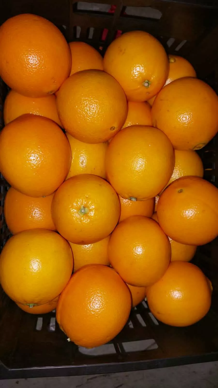 апельсины свежие (египетские) в Краснодаре и Краснодарском крае