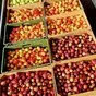кубанские яблоки опт с доставкой 1 сорт в Краснодаре и Краснодарском крае