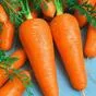 покупаем морковь в Краснодаре