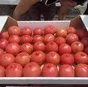 томат розовый  в Краснодаре и Краснодарском крае
