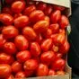томат сливка  в Краснодаре и Краснодарском крае