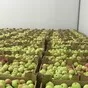 яблоки оптом в Краснодаре 3