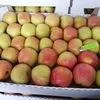 яблоки Кубани оптом в Краснодаре 3