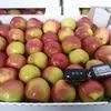 яблоки Кубани оптом в Краснодаре