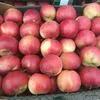 яблоки Кримсон с доставкой по России в Краснодаре