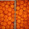 реализуем мандарины Дубиш  в Краснодаре