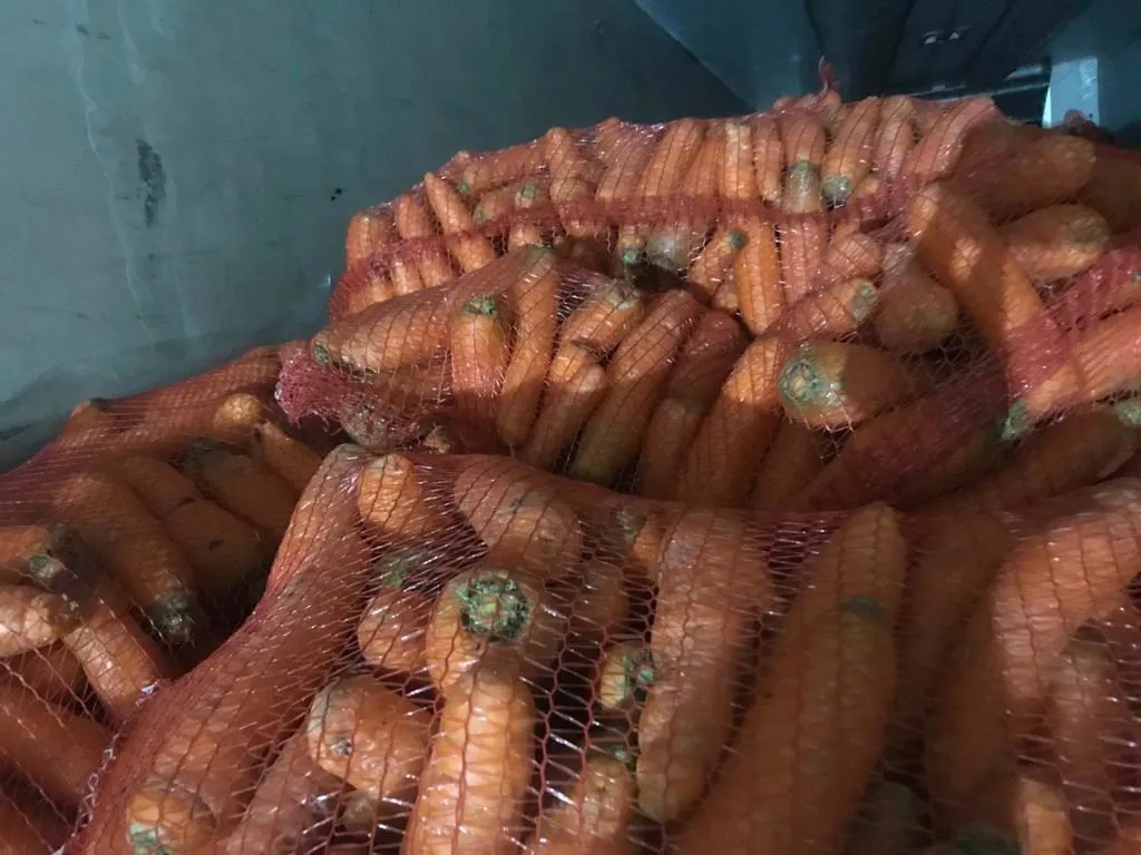 морковь от производителя в Краснодаре 8