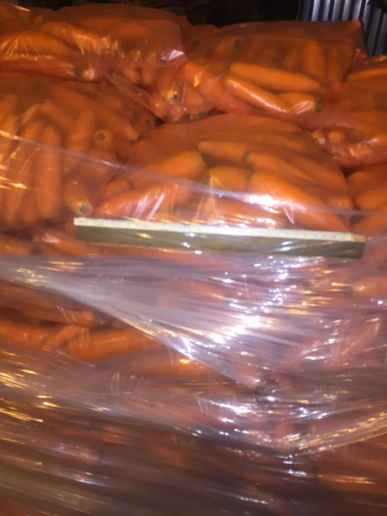 морковь от производителя в Краснодаре 6