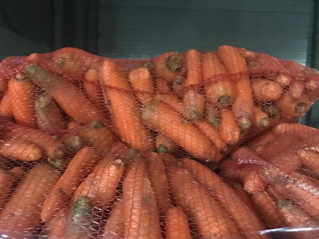 морковь от производителя в Краснодаре 3