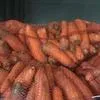морковь от производителя в Краснодаре 3