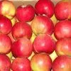 яблоки Оптом в Краснодаре