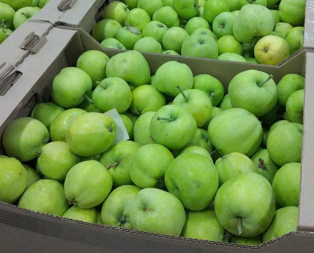 яблоки урожая 2019  в Краснодаре 4