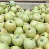 яблоки Калиброванные оптом в Краснодаре 2