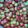 продаем яблоки оптом в Краснодаре